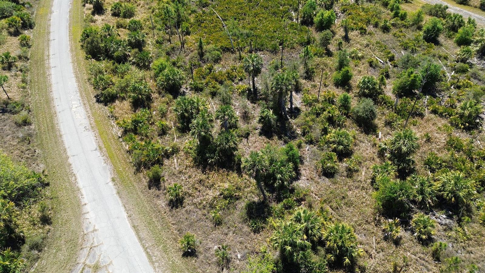 FARVIEW DR — photo 6