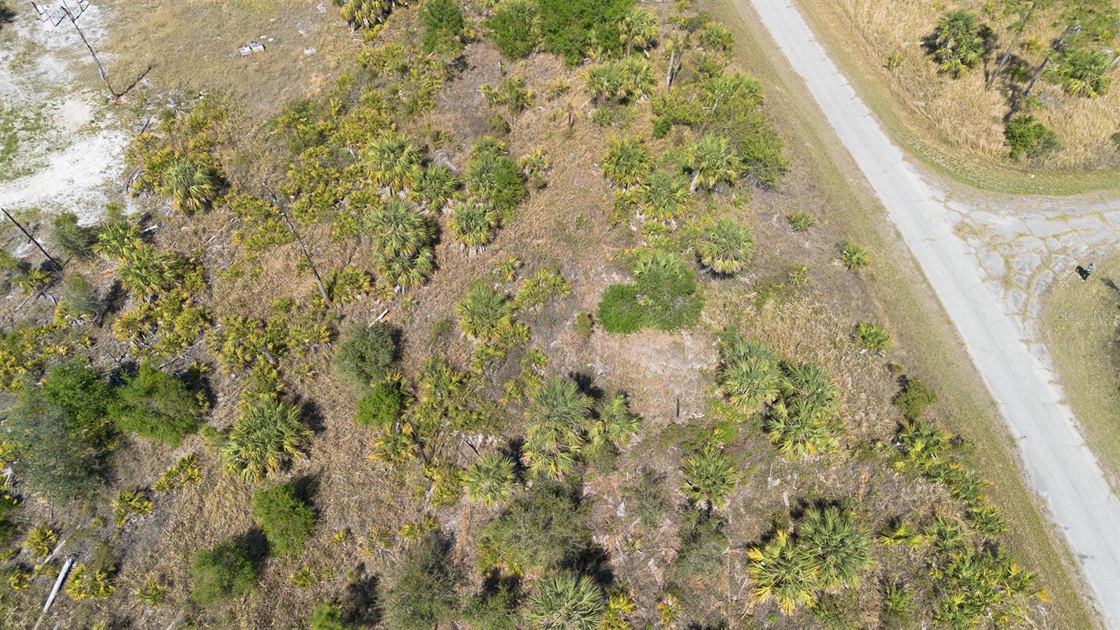 FARVIEW DR — photo 4