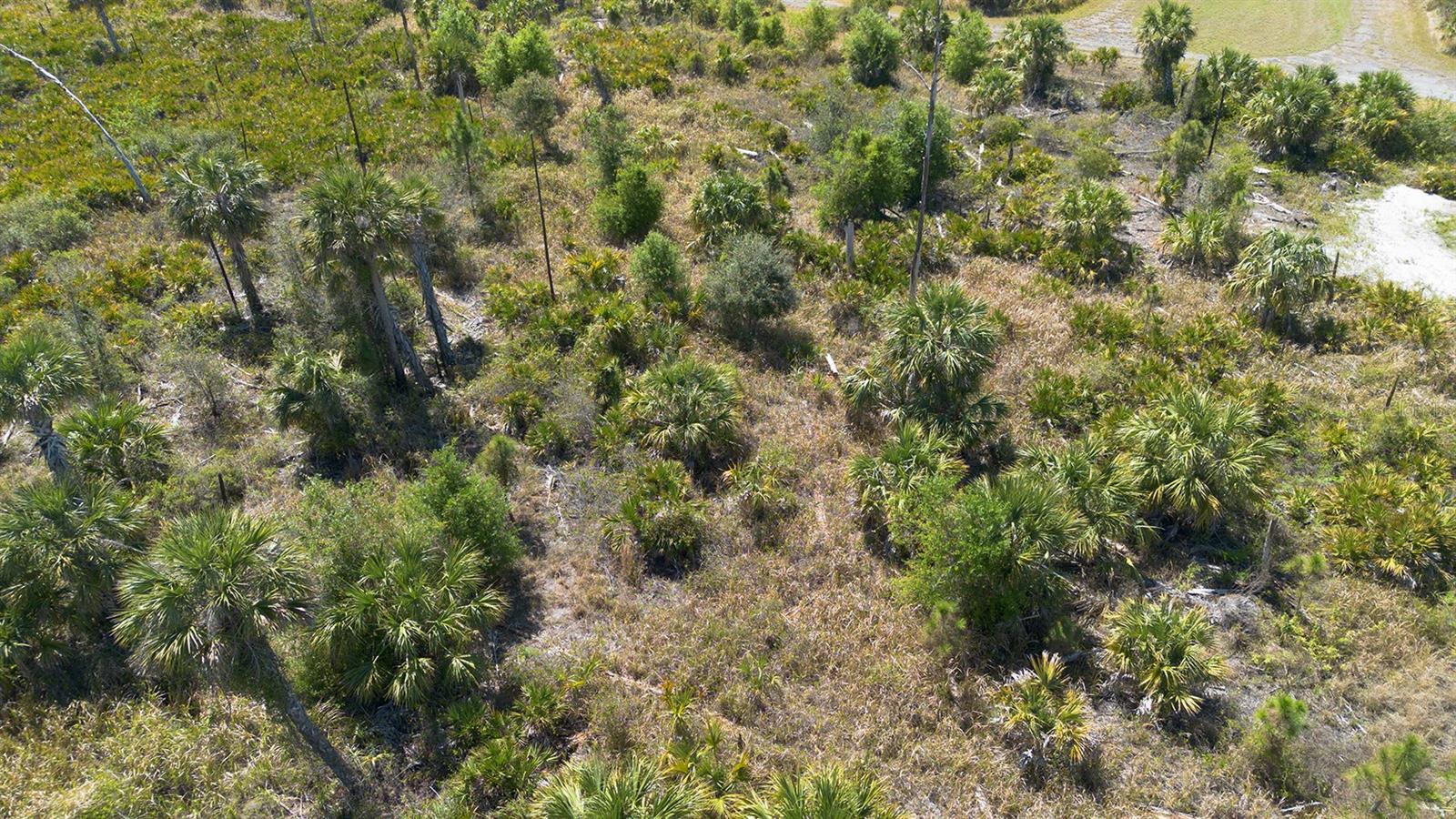 FARVIEW DR — photo 8