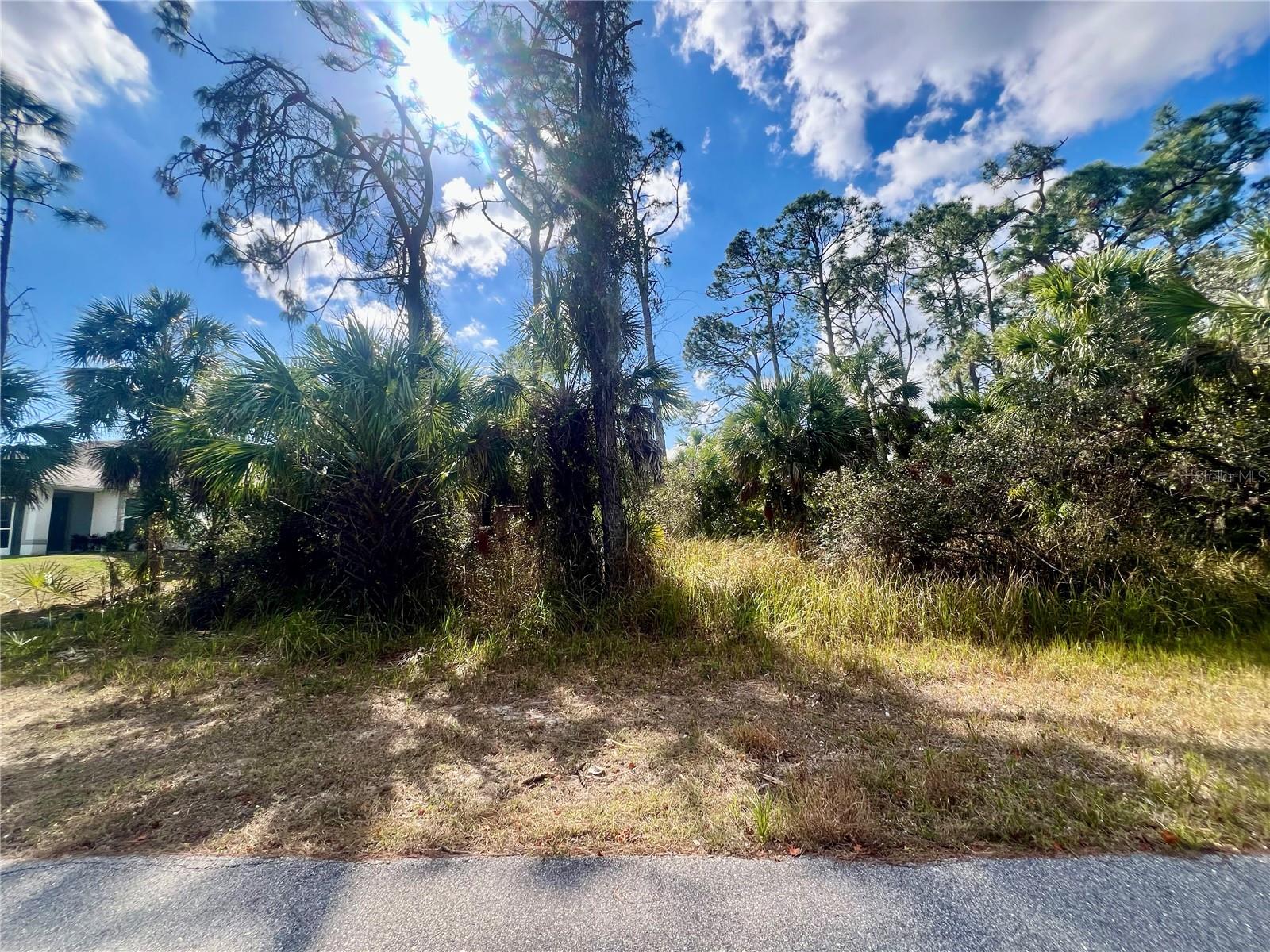 Lot 7 ABBEVILLE RD — photo 2
