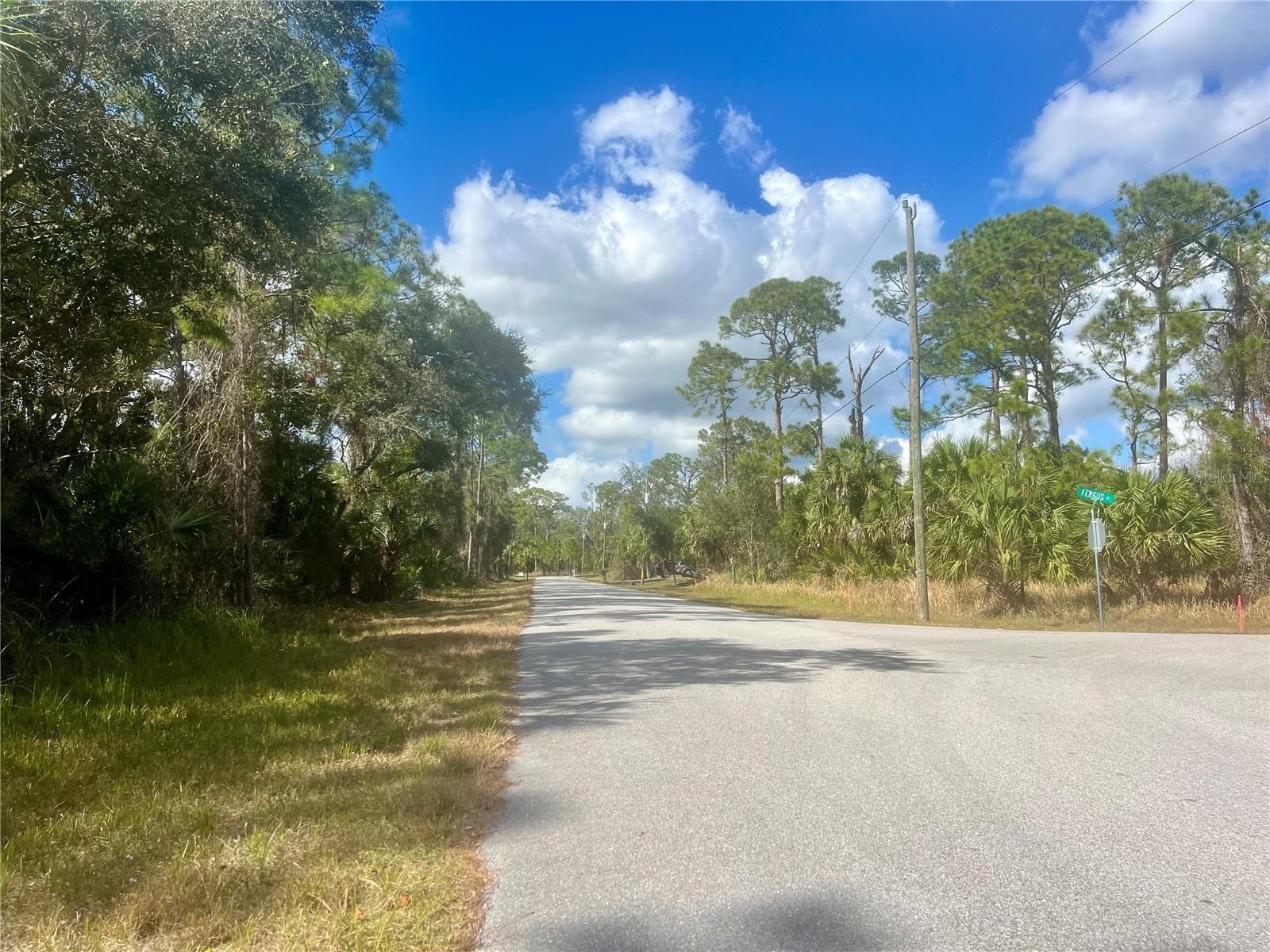 Lot 8 ABBEVILLE RD — photo 3