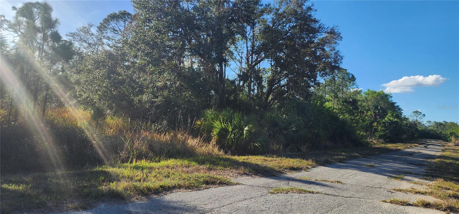 CERIMAN RD — photo 2