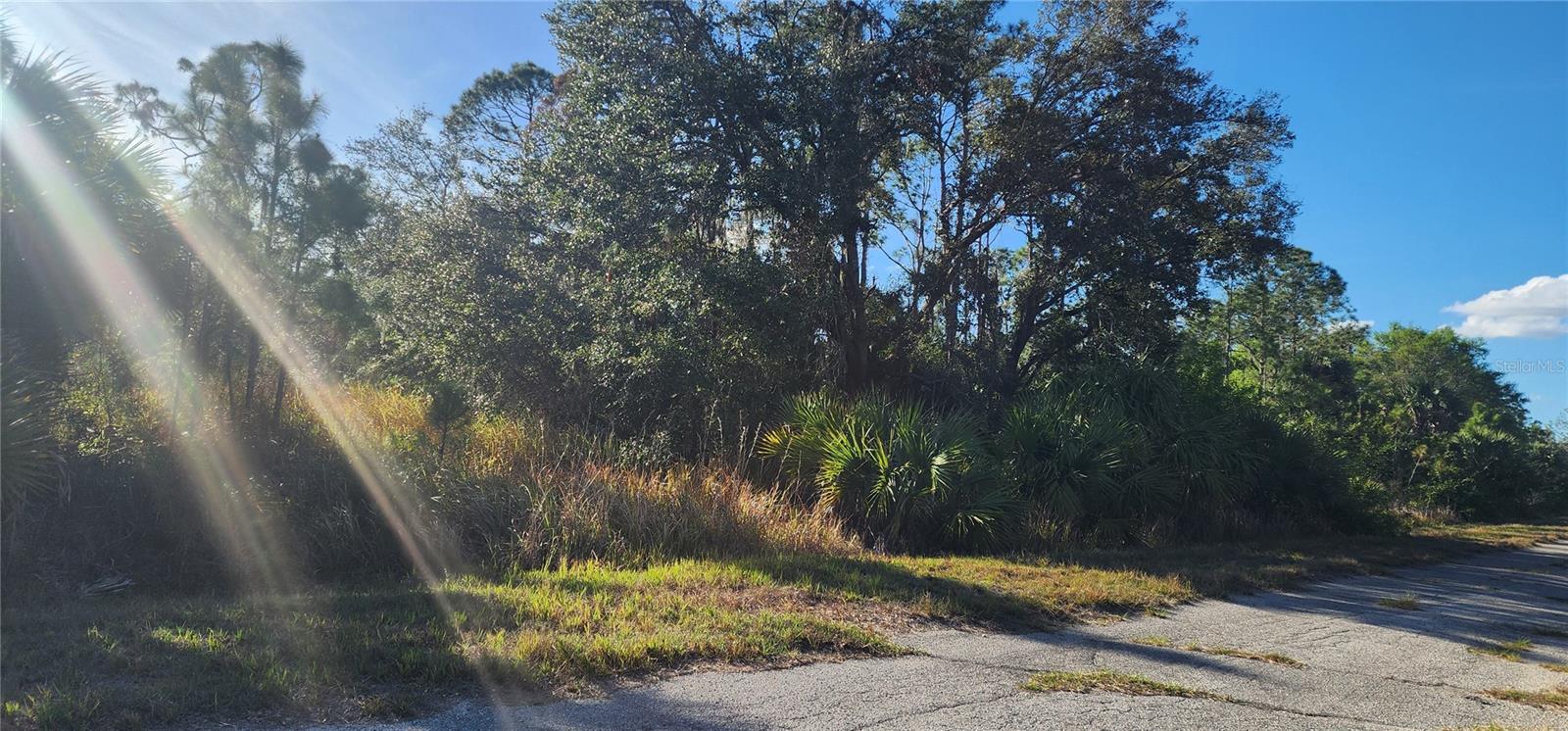 CERIMAN RD — photo 3