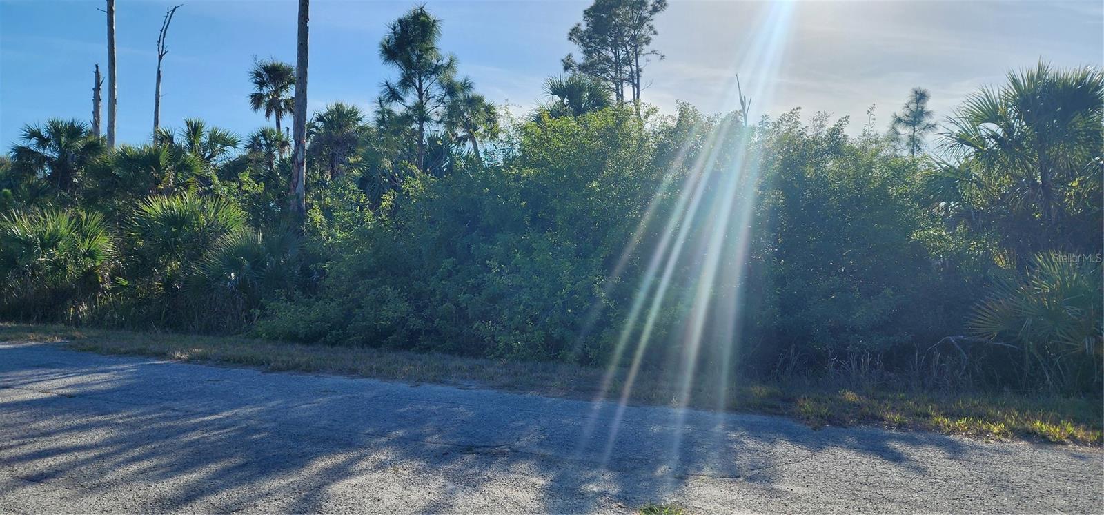 CERIMAN RD — photo 8