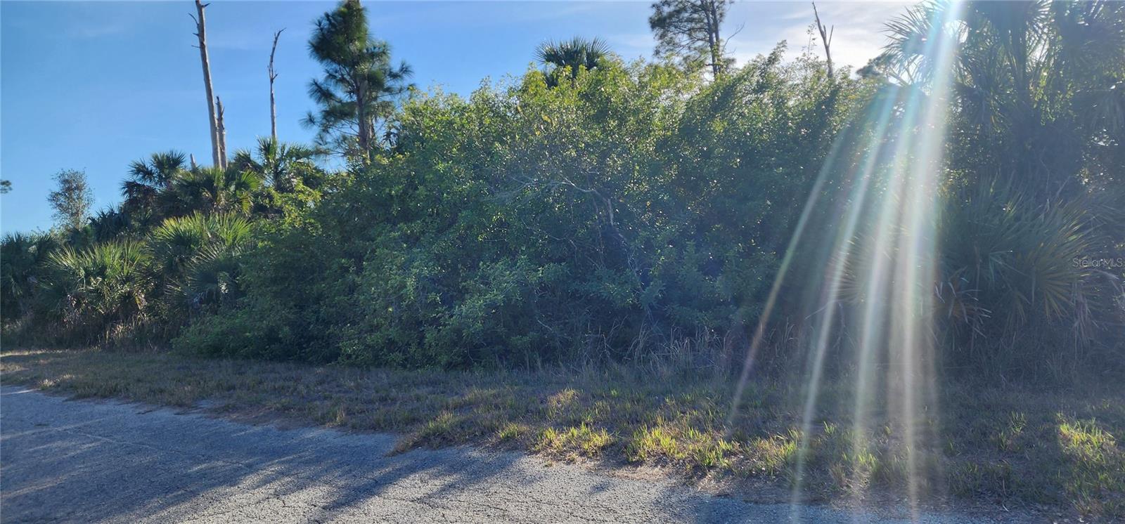 CERIMAN RD — photo 7