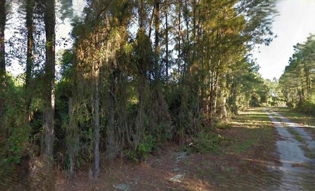 LUTZ RD — photo 2