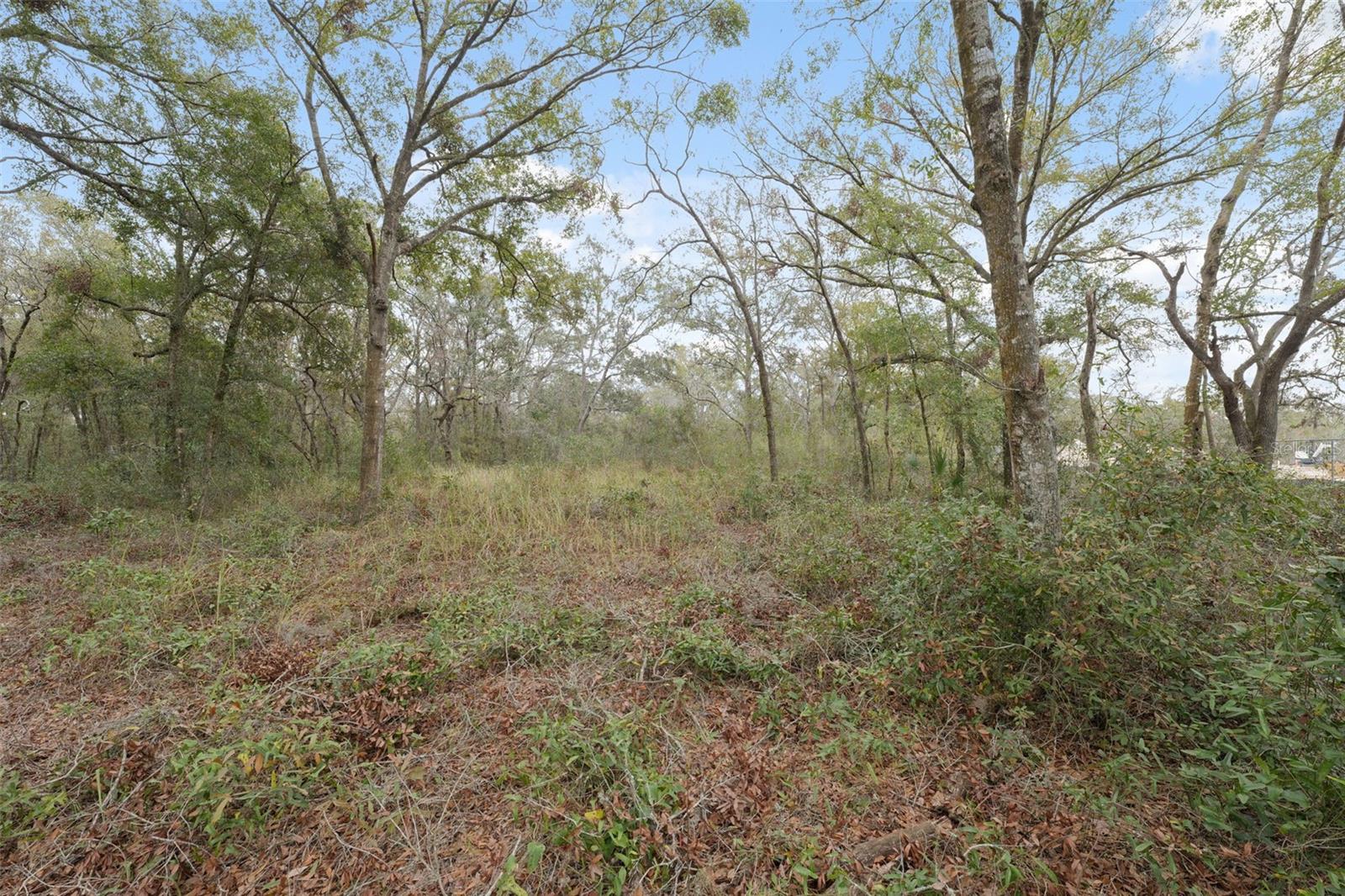 16308 SHADY HILLS RD — photo 16