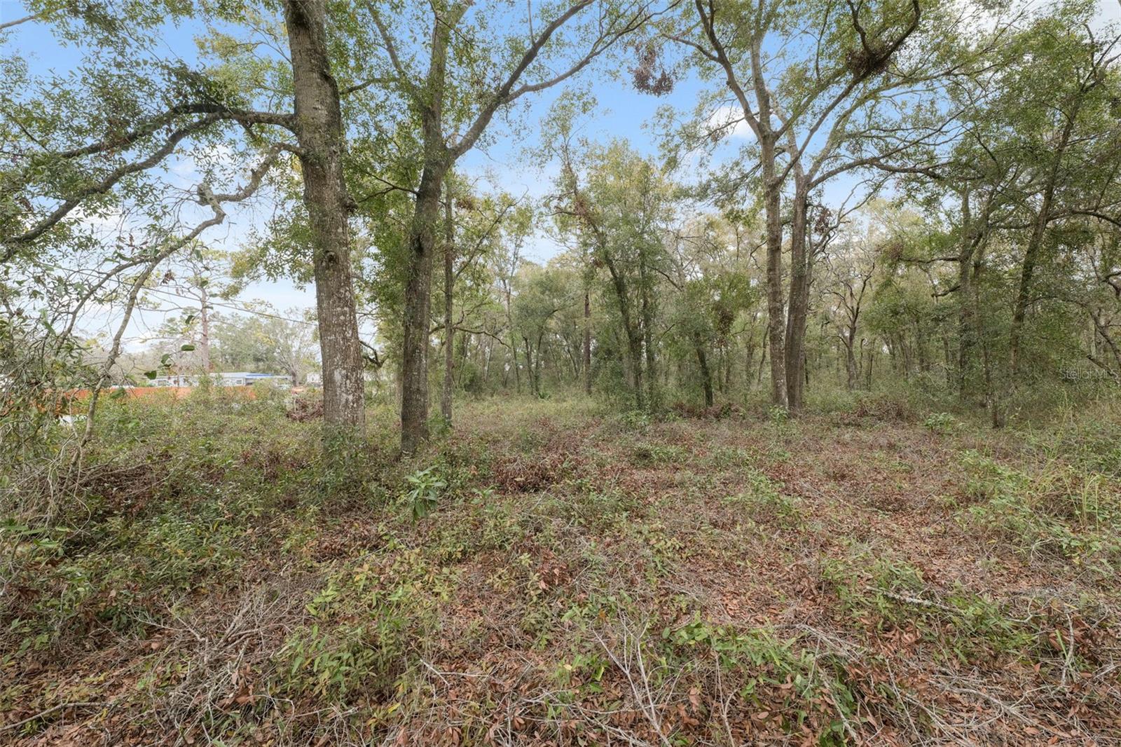 16308 SHADY HILLS RD — photo 17