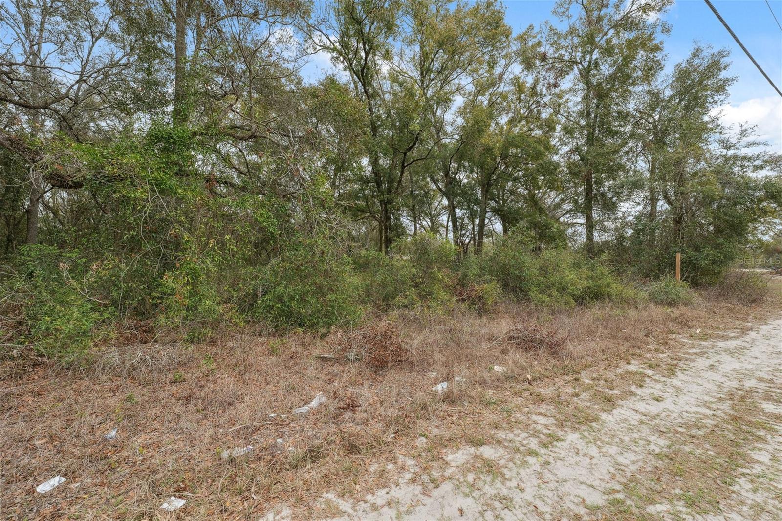 16308 SHADY HILLS RD — photo 21