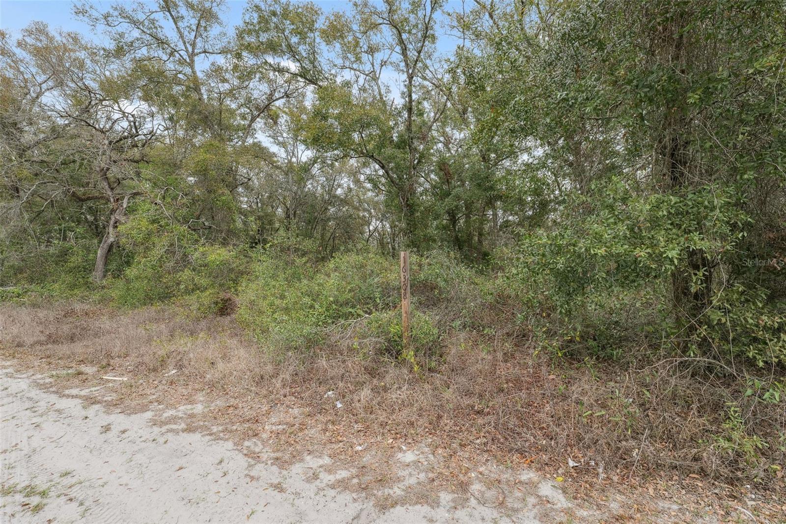 16308 SHADY HILLS RD — photo 18