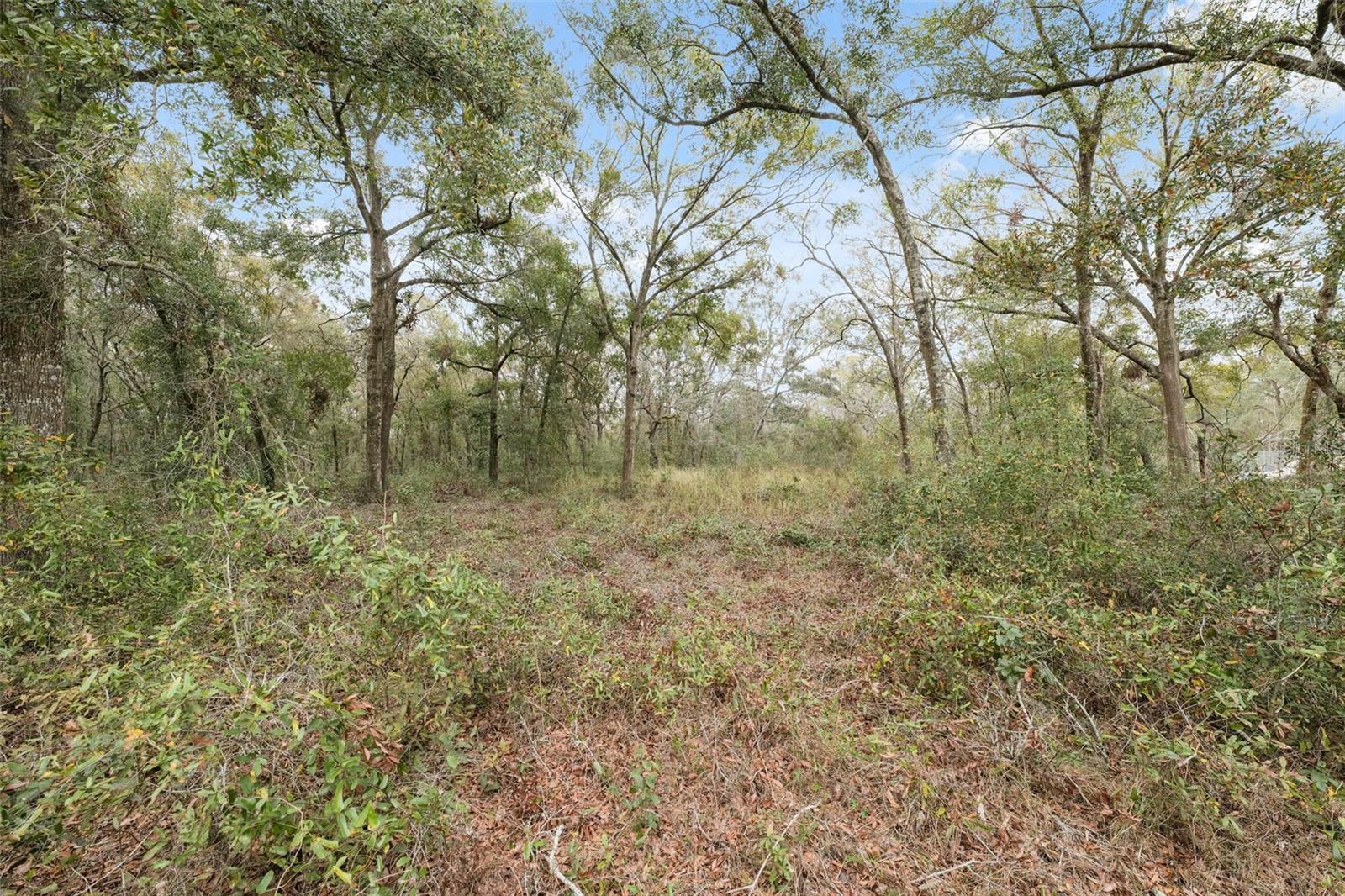 16308 SHADY HILLS RD — photo 15