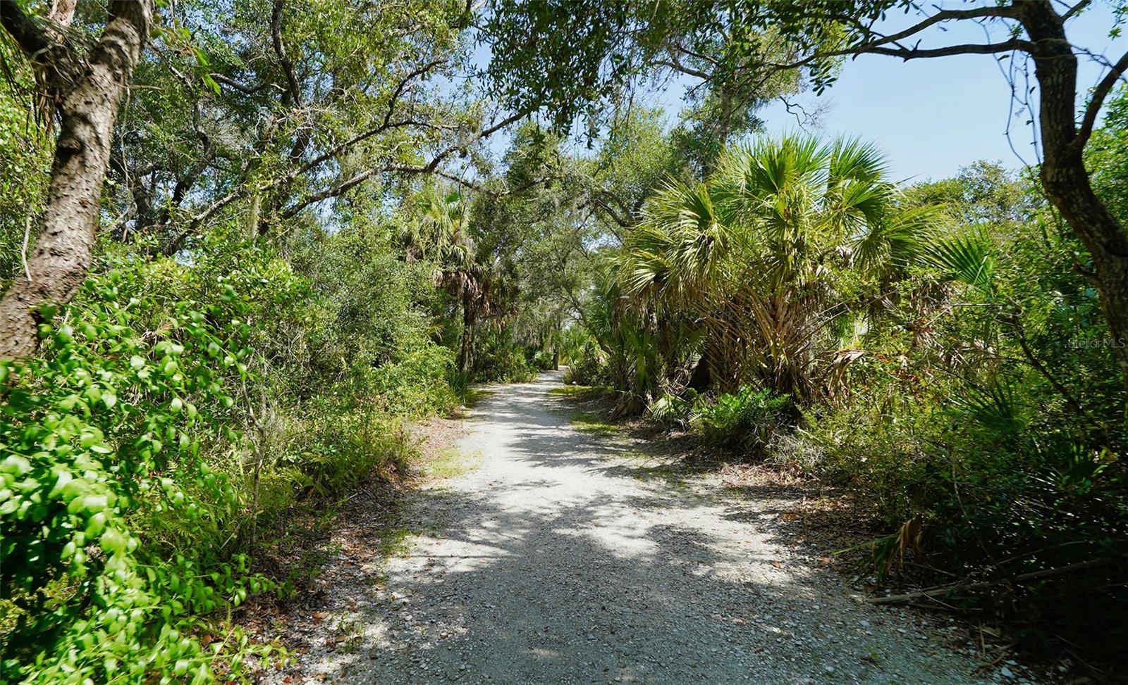5547 KEY WEST PL #C-01 — photo 36