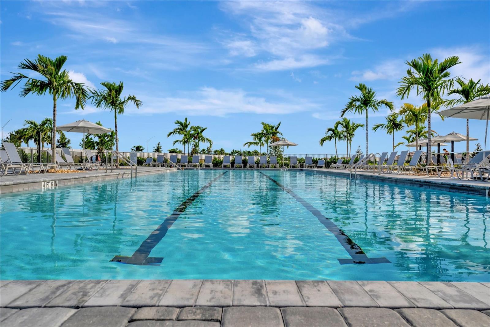 5317 CORAL REEF WAY — photo 49