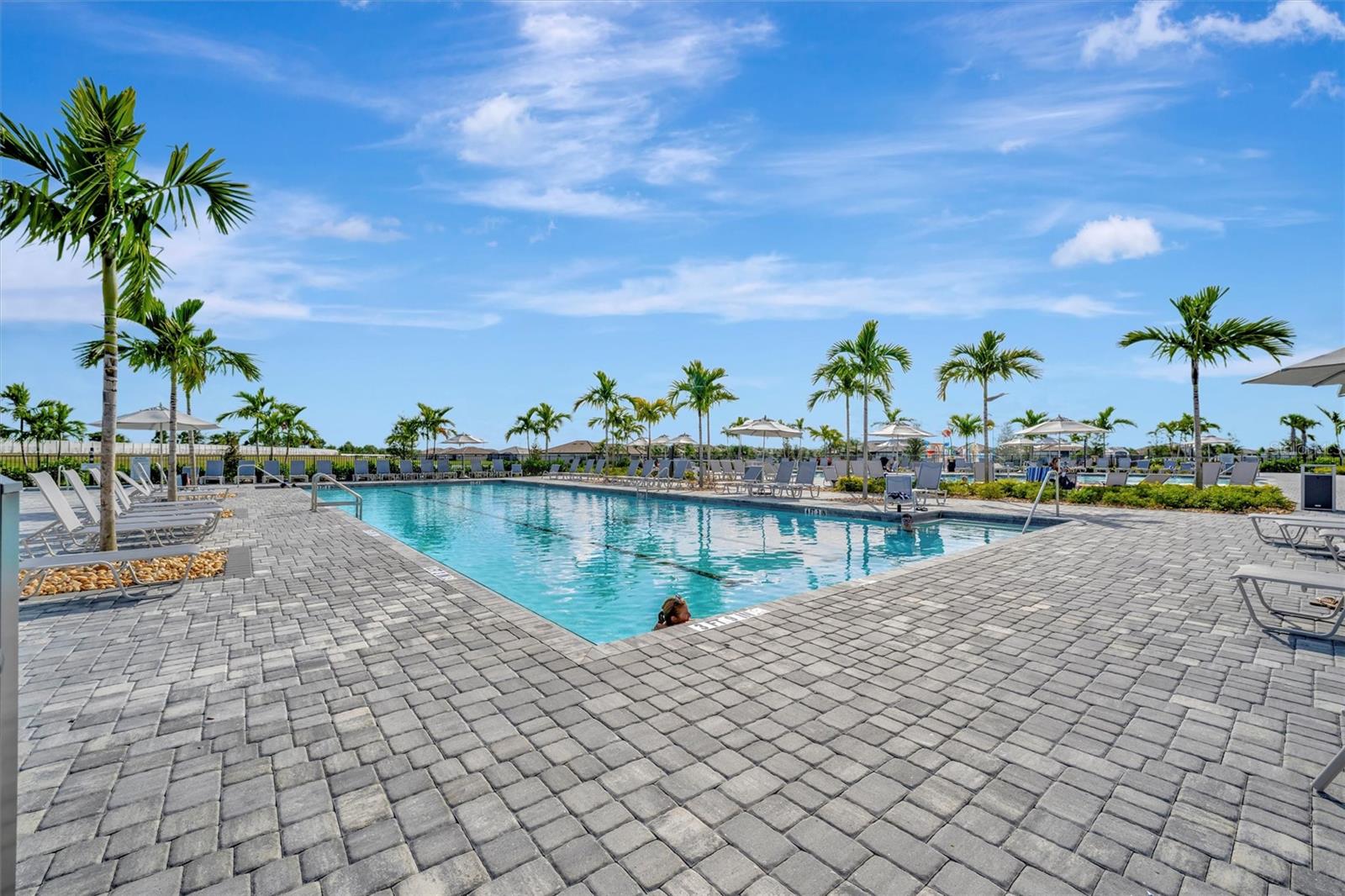 5317 CORAL REEF WAY — photo 54