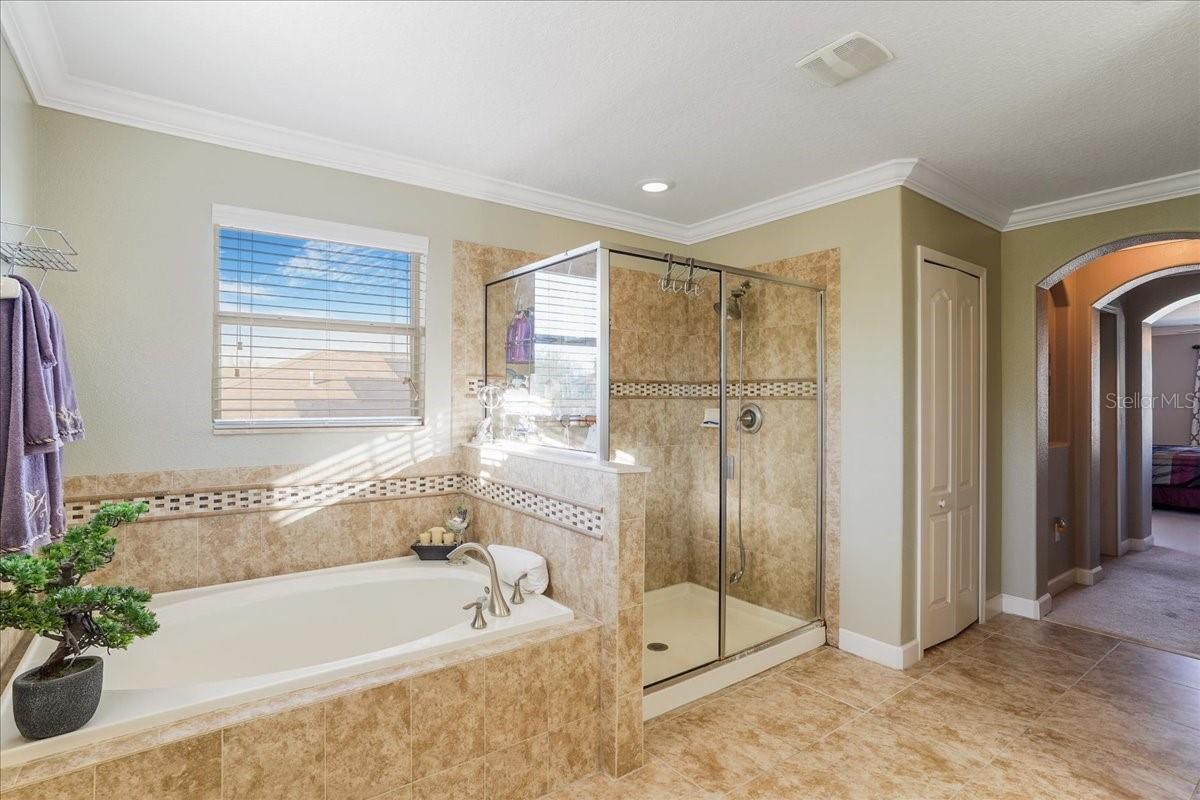 20427 CAROLINA CHERRY CT — photo 22