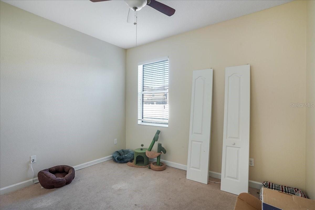 20427 CAROLINA CHERRY CT — photo 36