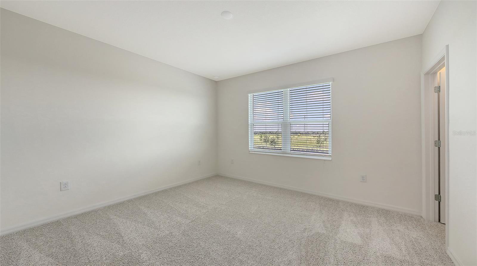 2360 WASHINGTON PALM CT — photo 25