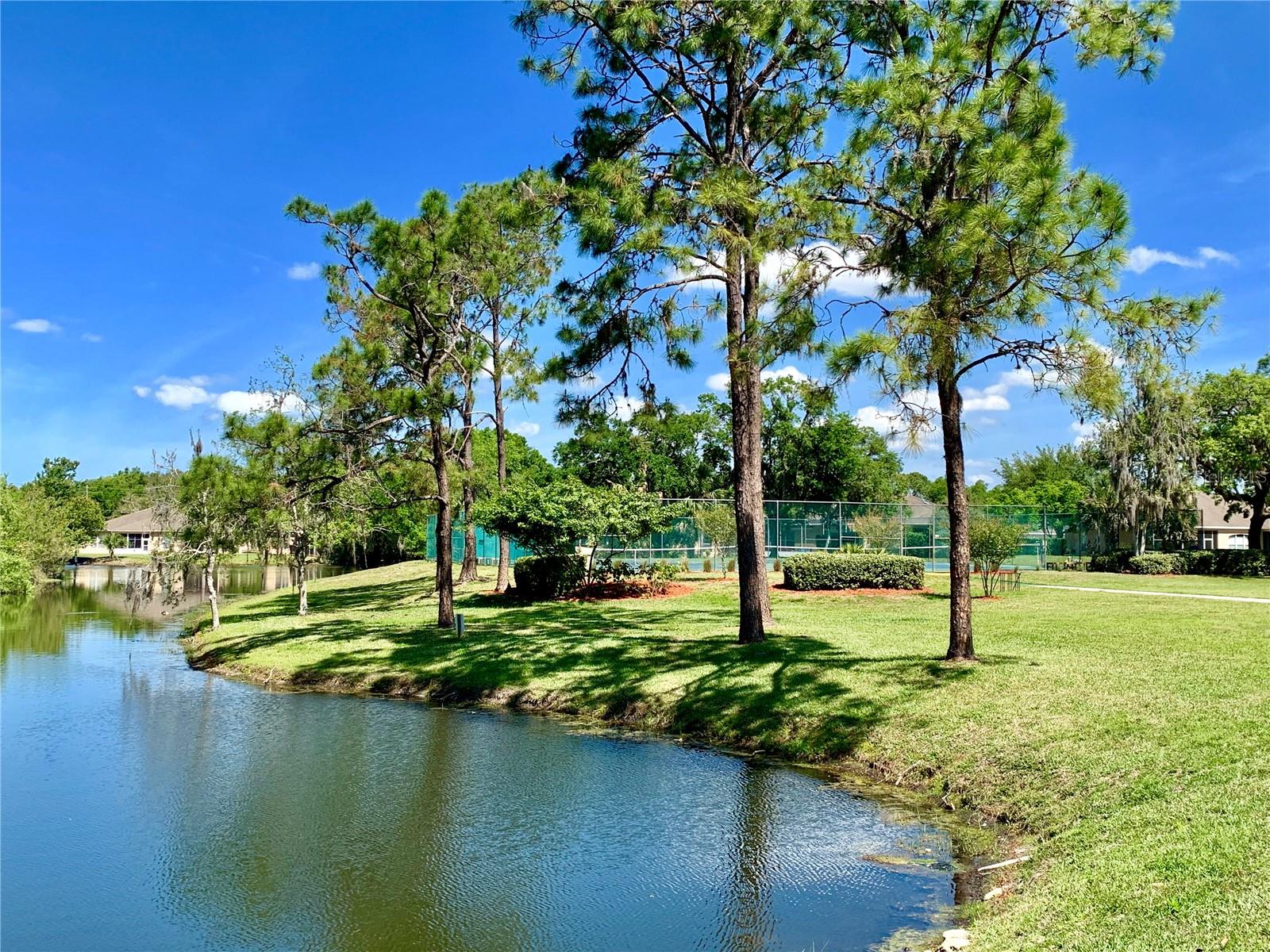 11817 BAYONET LN — photo 32