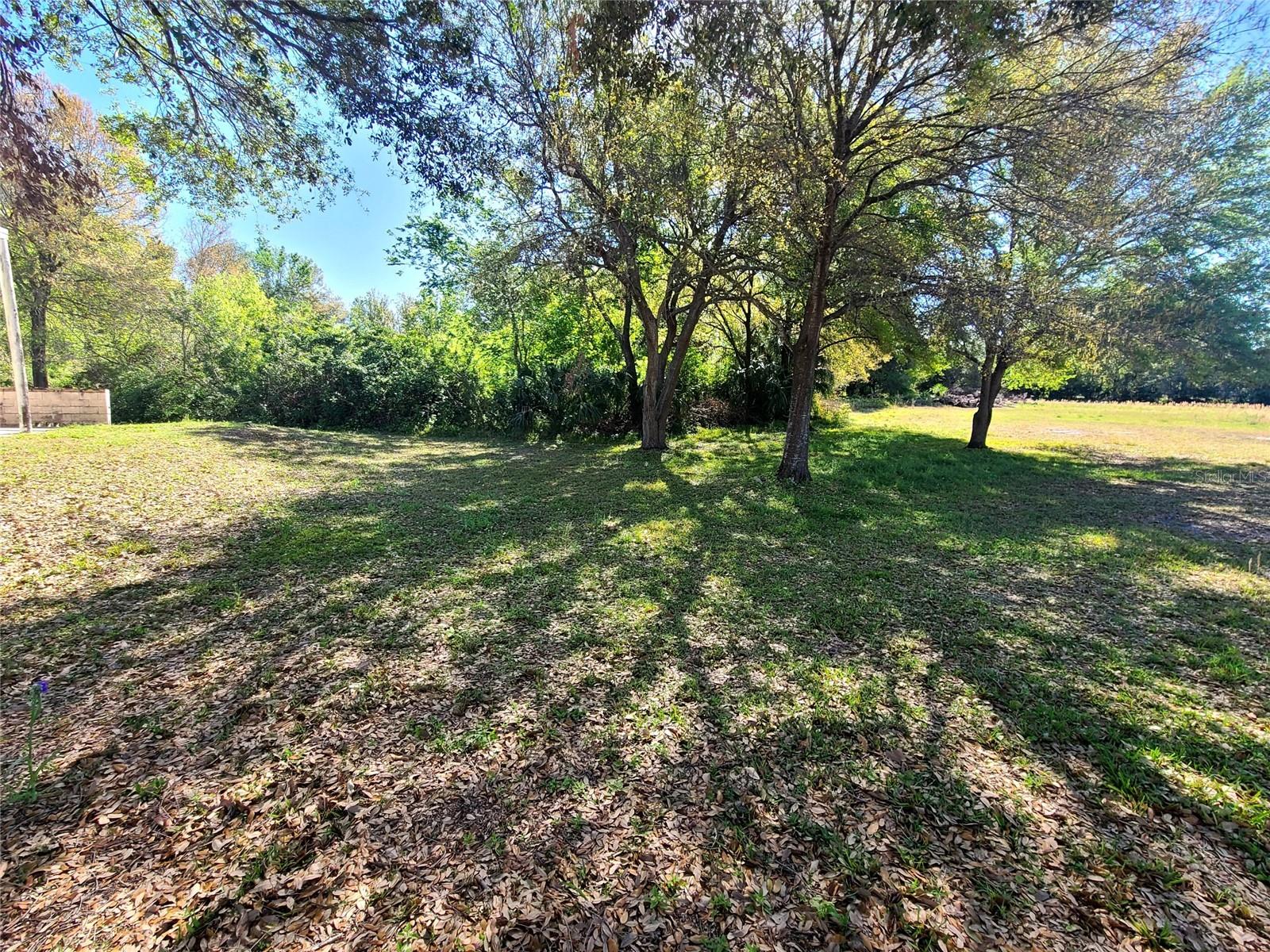 3541 N BOULEVARD — photo 5