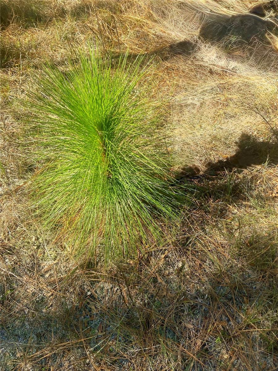 01 UNNAMED — photo 80