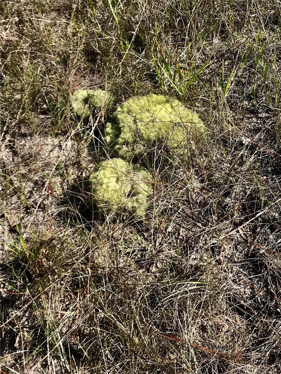 01 UNNAMED — photo 91