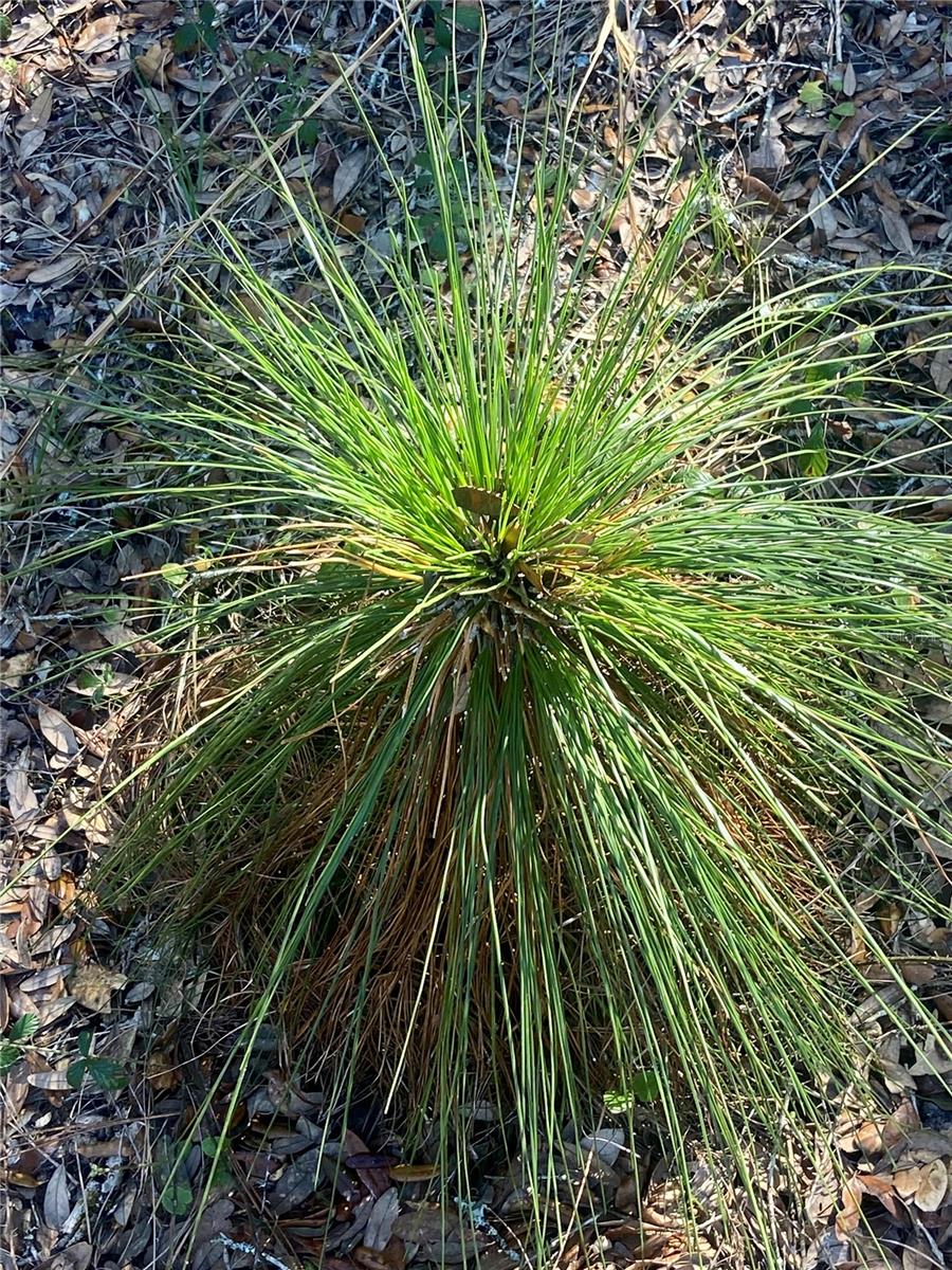01 UNNAMED — photo 73