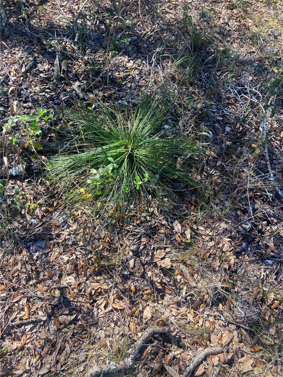 01 UNNAMED — photo 75