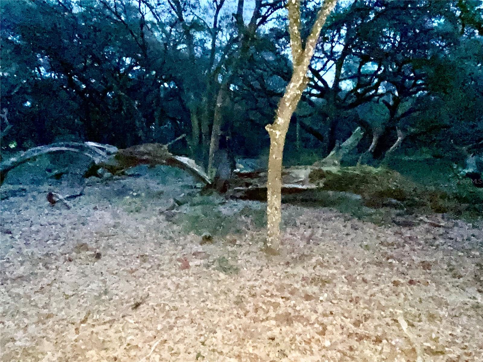 01 UNNAMED — photo 67