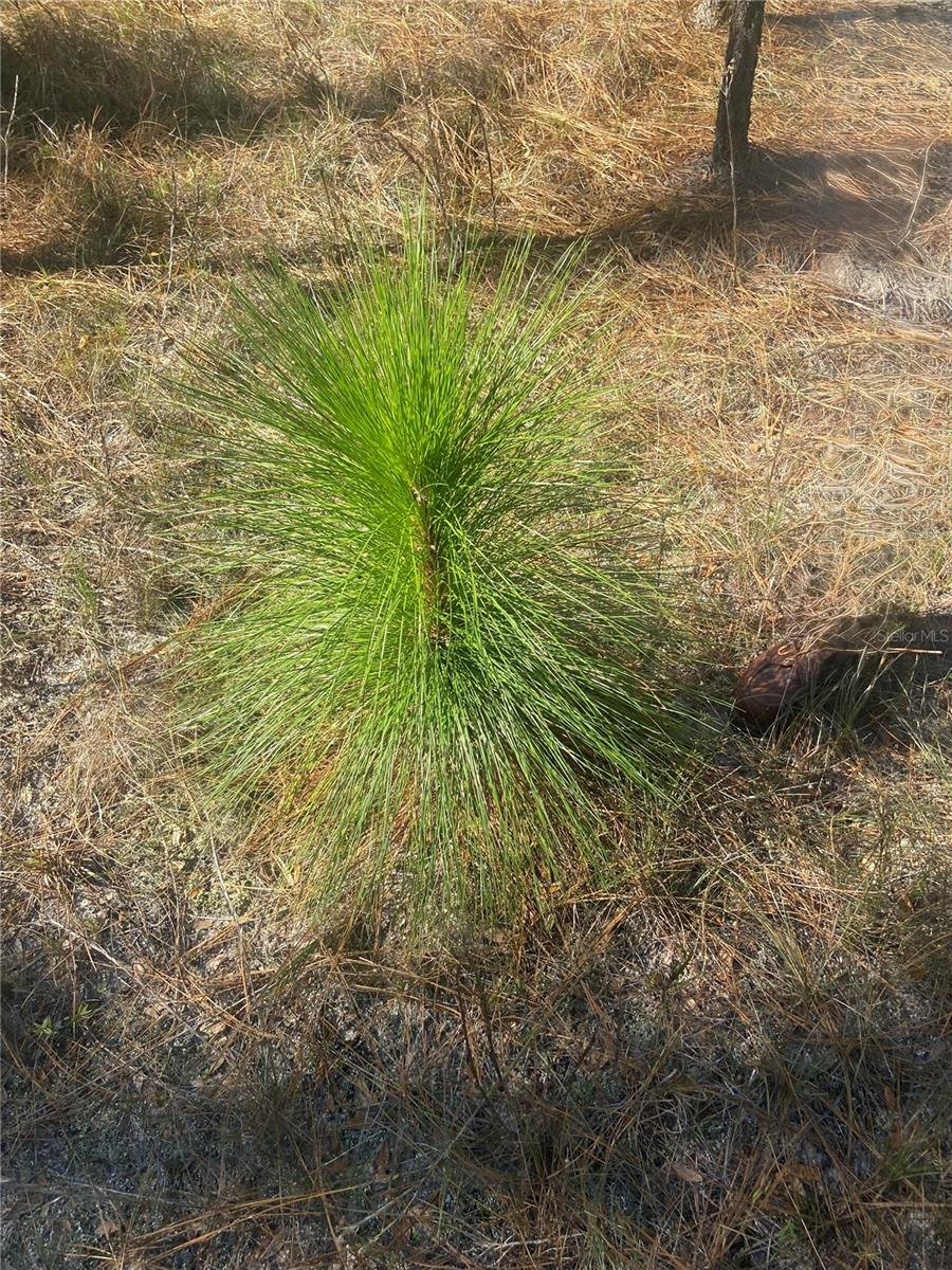 01 UNNAMED — photo 81