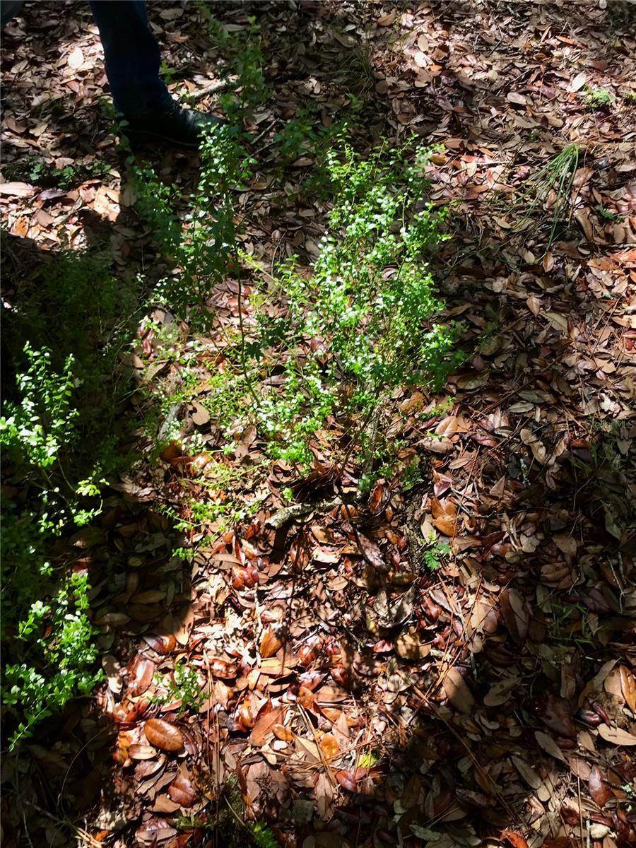 01 UNNAMED — photo 98