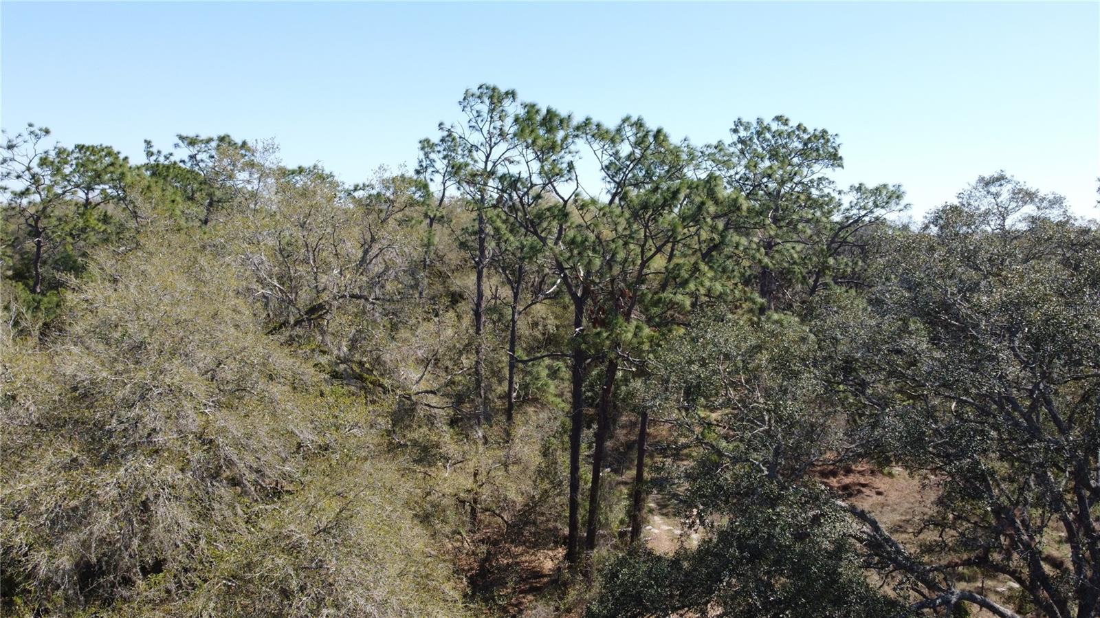 01 UNNAMED — photo 16