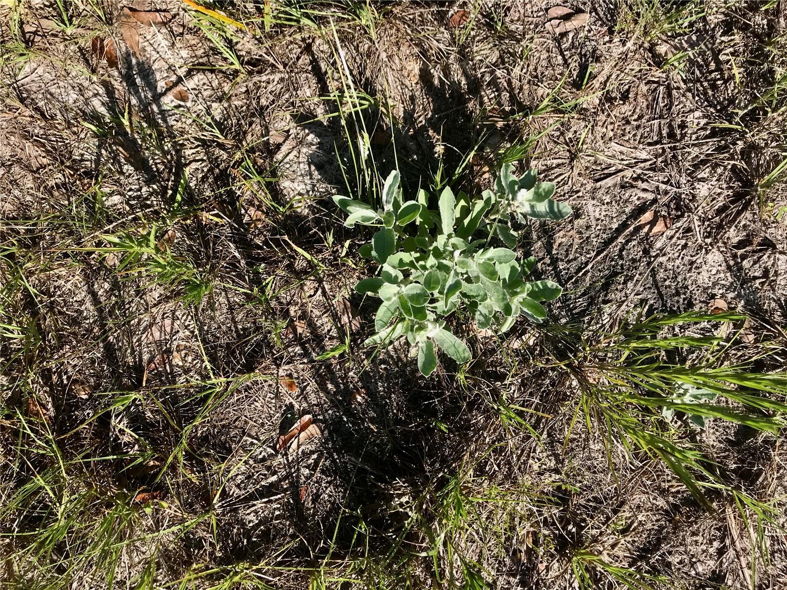 01 UNNAMED — photo 88