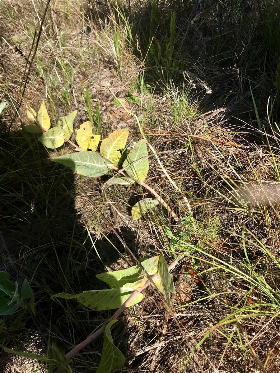 01 UNNAMED — photo 90
