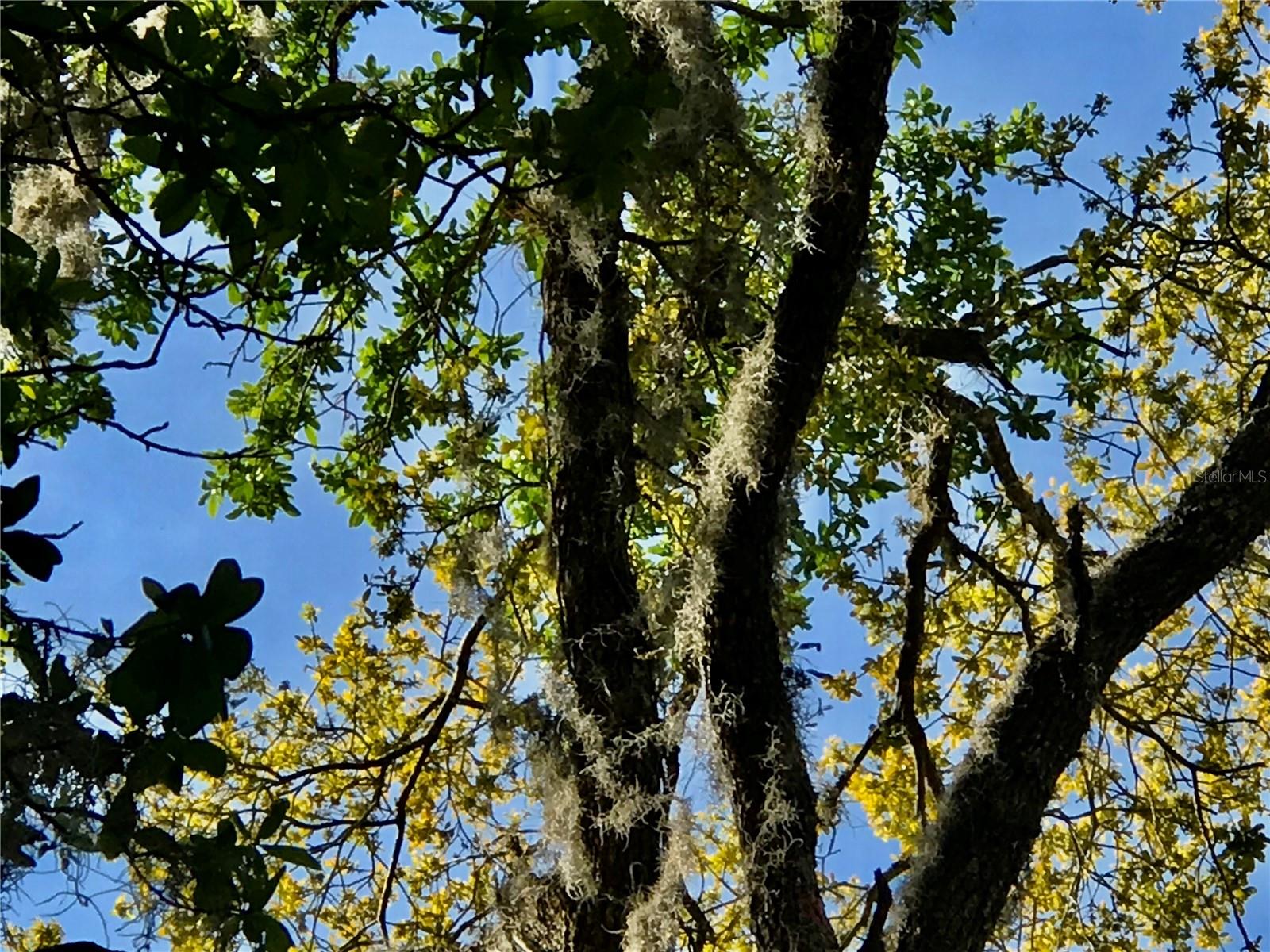 01 UNNAMED — photo 40
