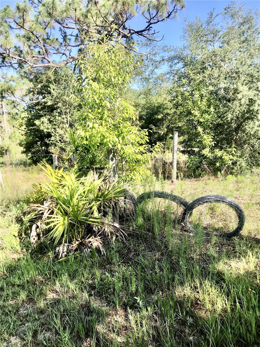 01 UNNAMED — photo 44