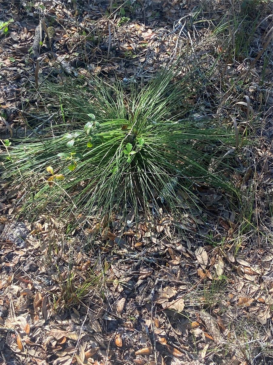 01 UNNAMED — photo 72