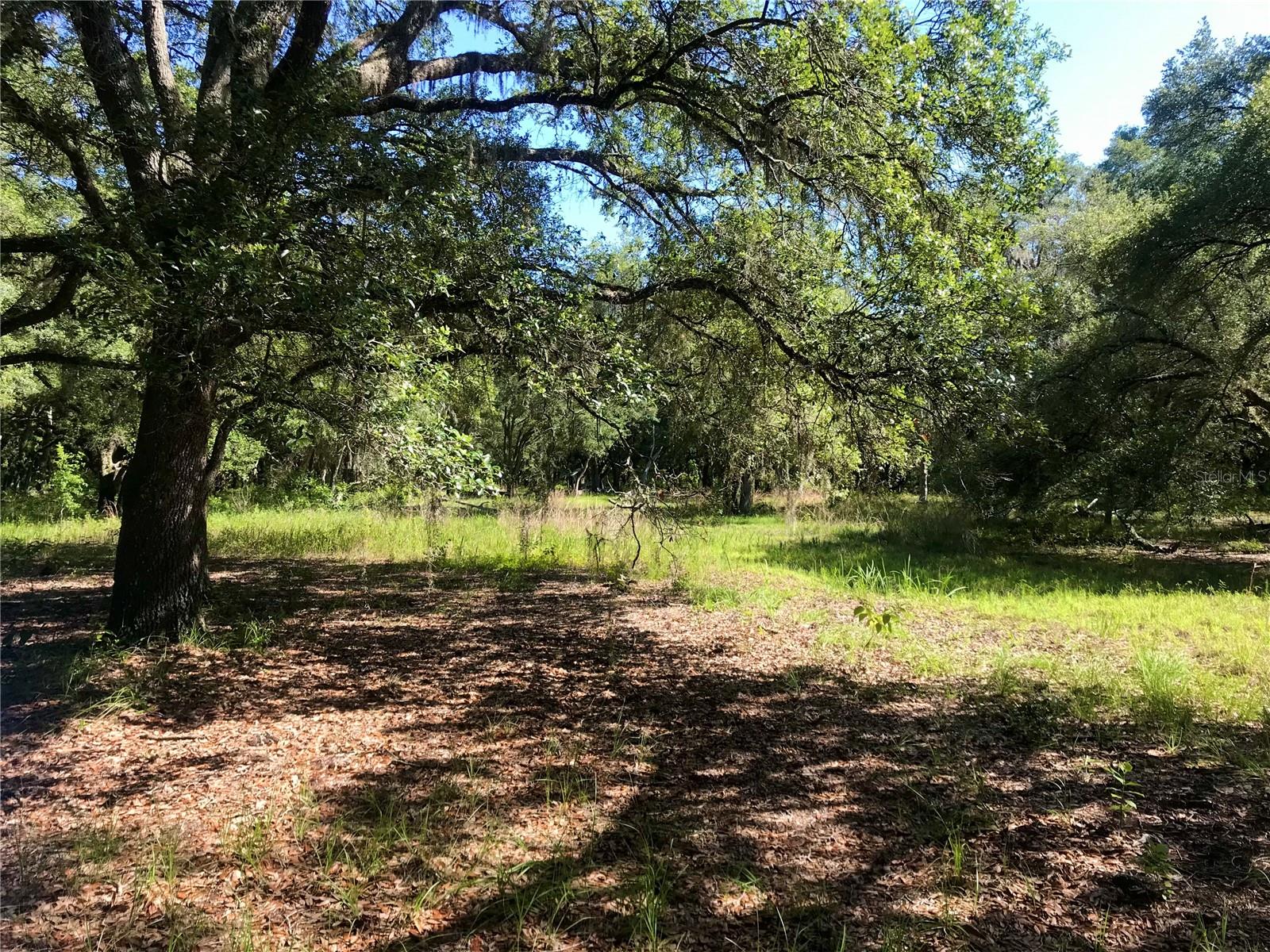 01 UNNAMED — photo 12