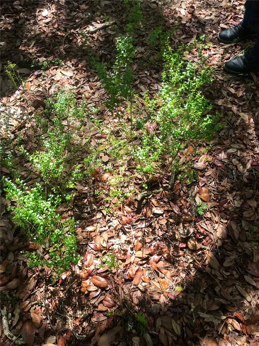 01 UNNAMED — photo 53