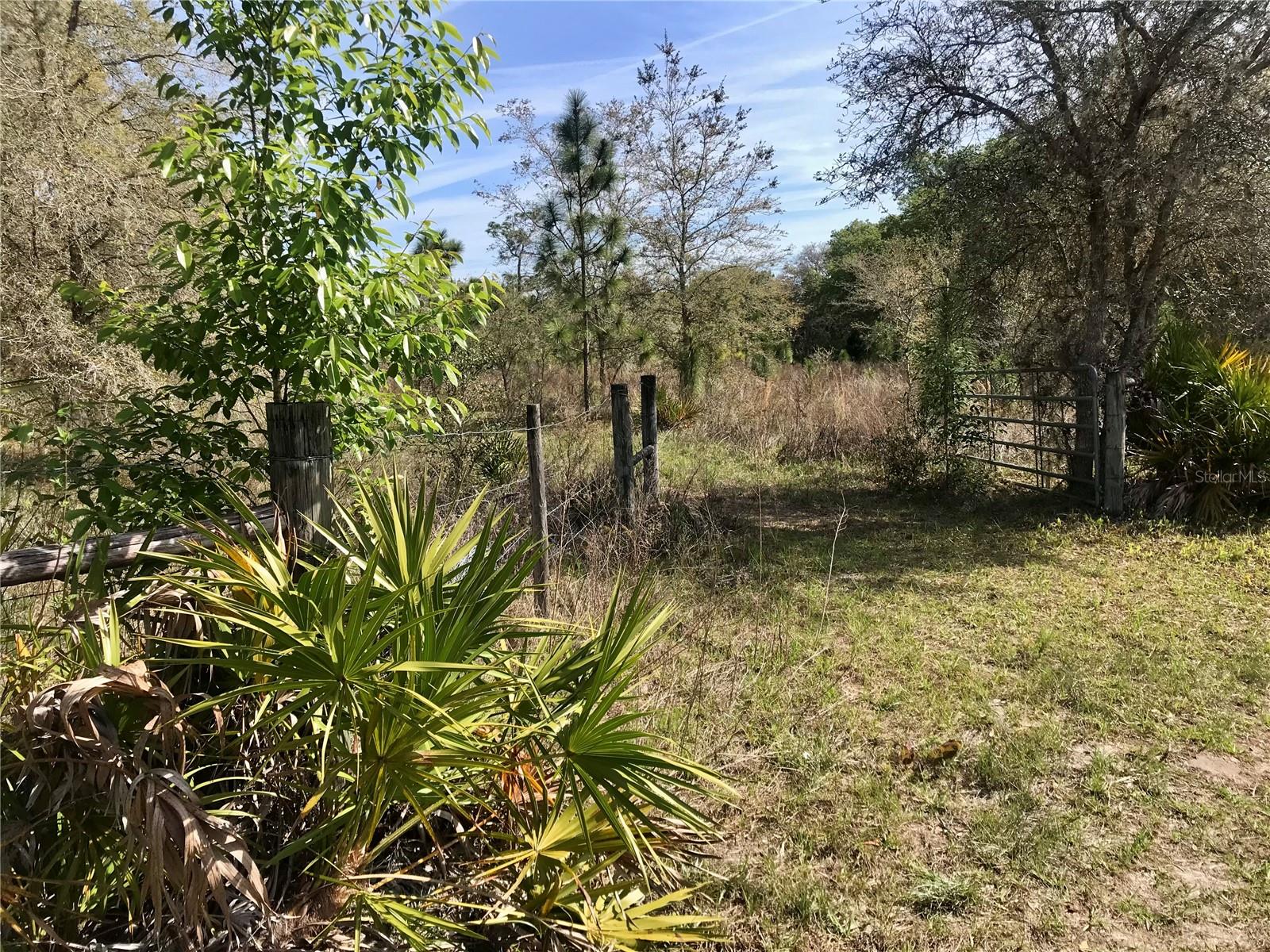 01 UNNAMED — photo 41