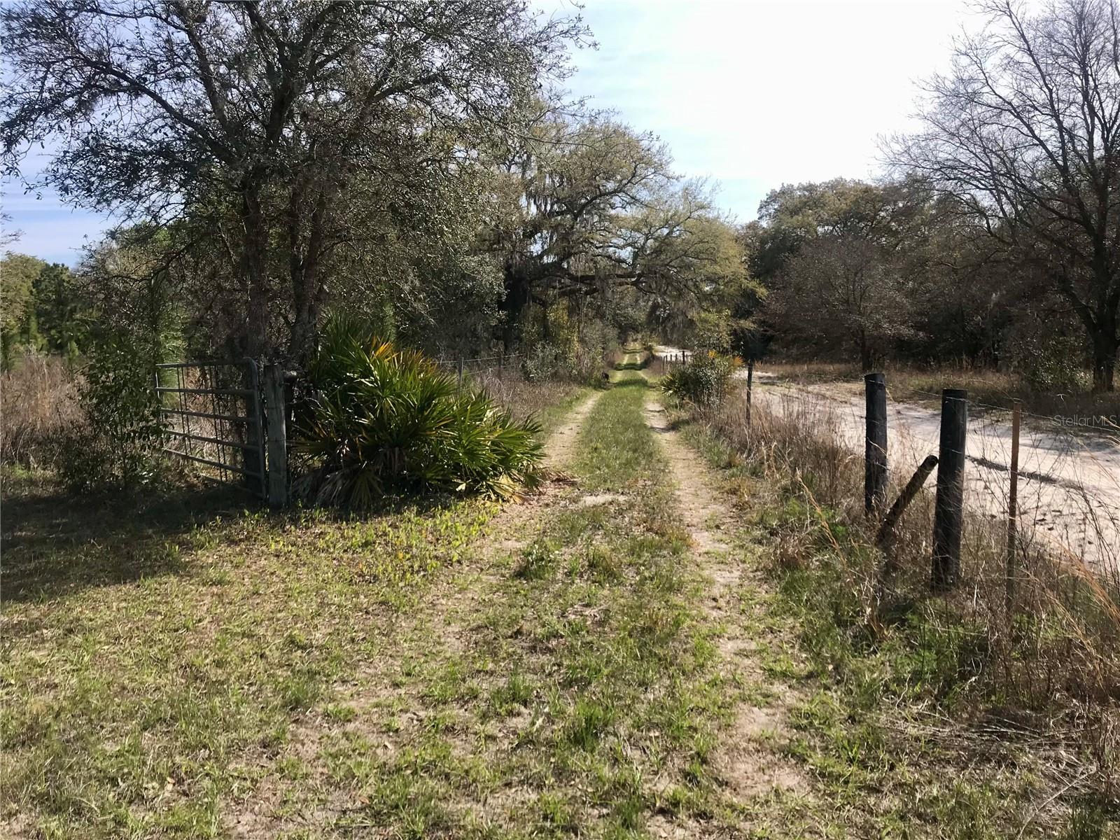 01 UNNAMED — photo 2