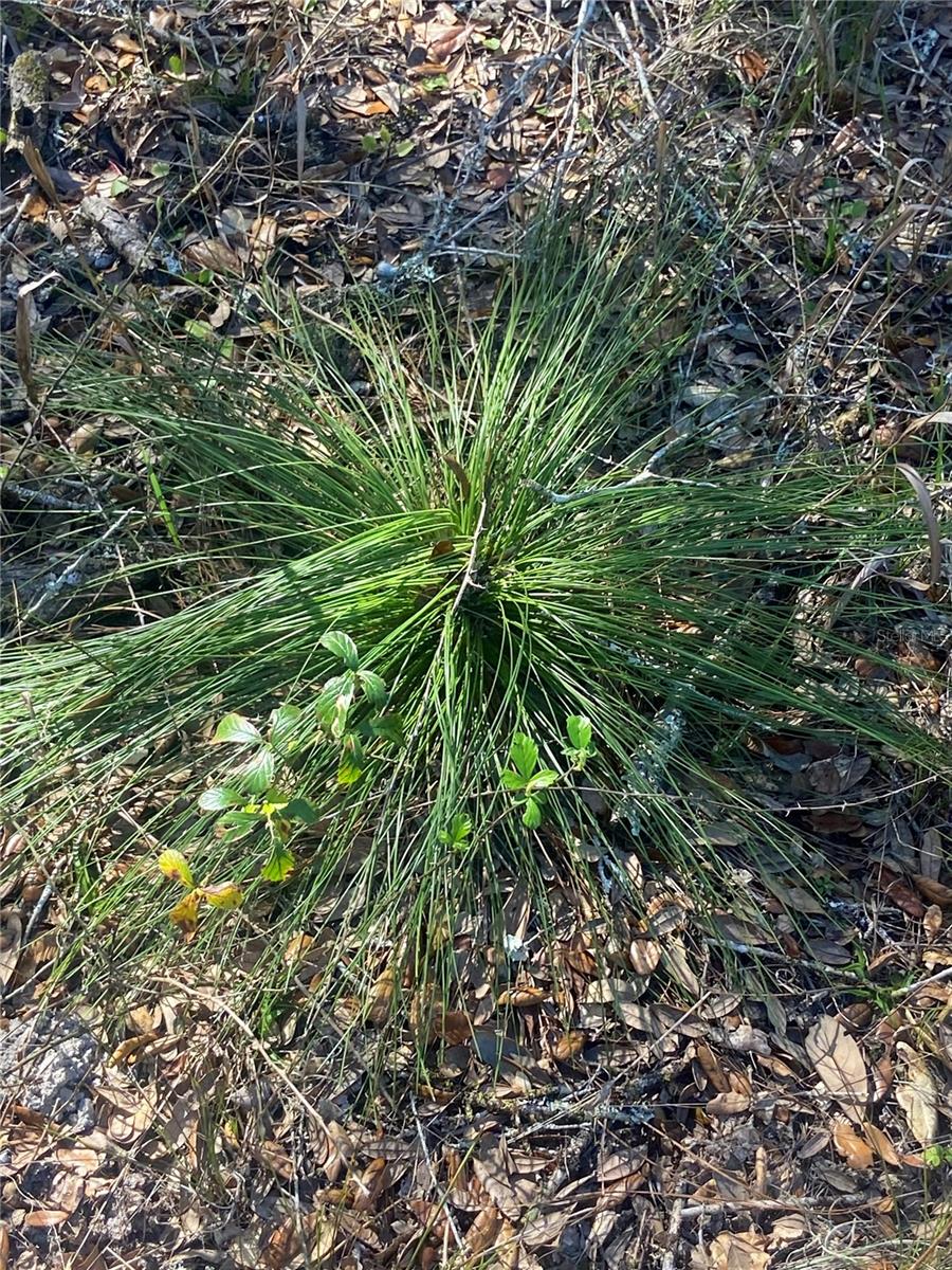01 UNNAMED — photo 74