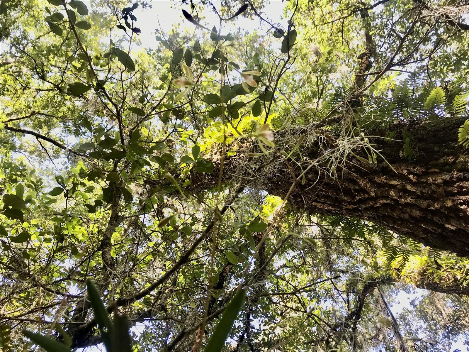 01 UNNAMED — photo 95