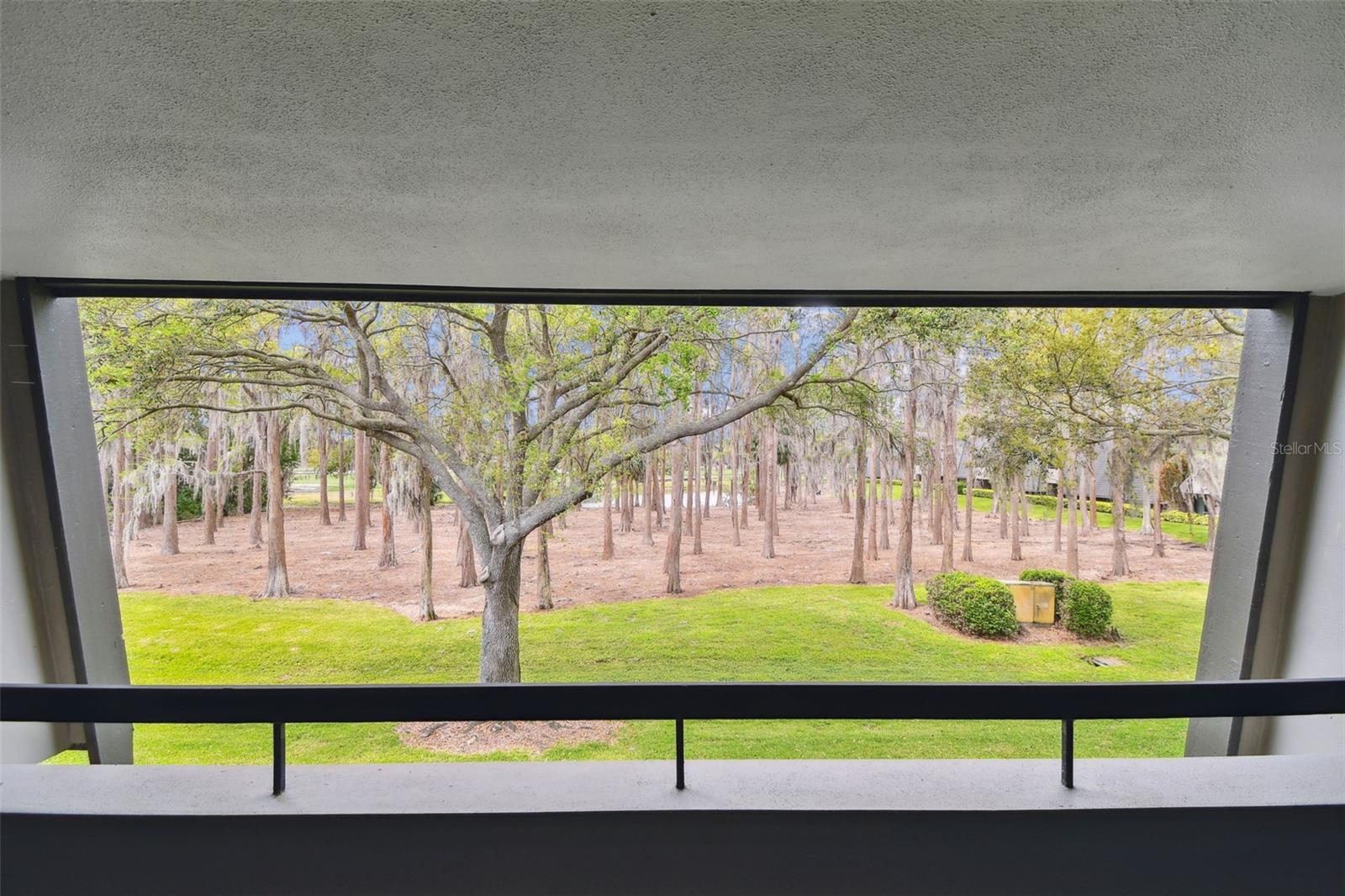 36750 US 19 N #06211 — photo 2