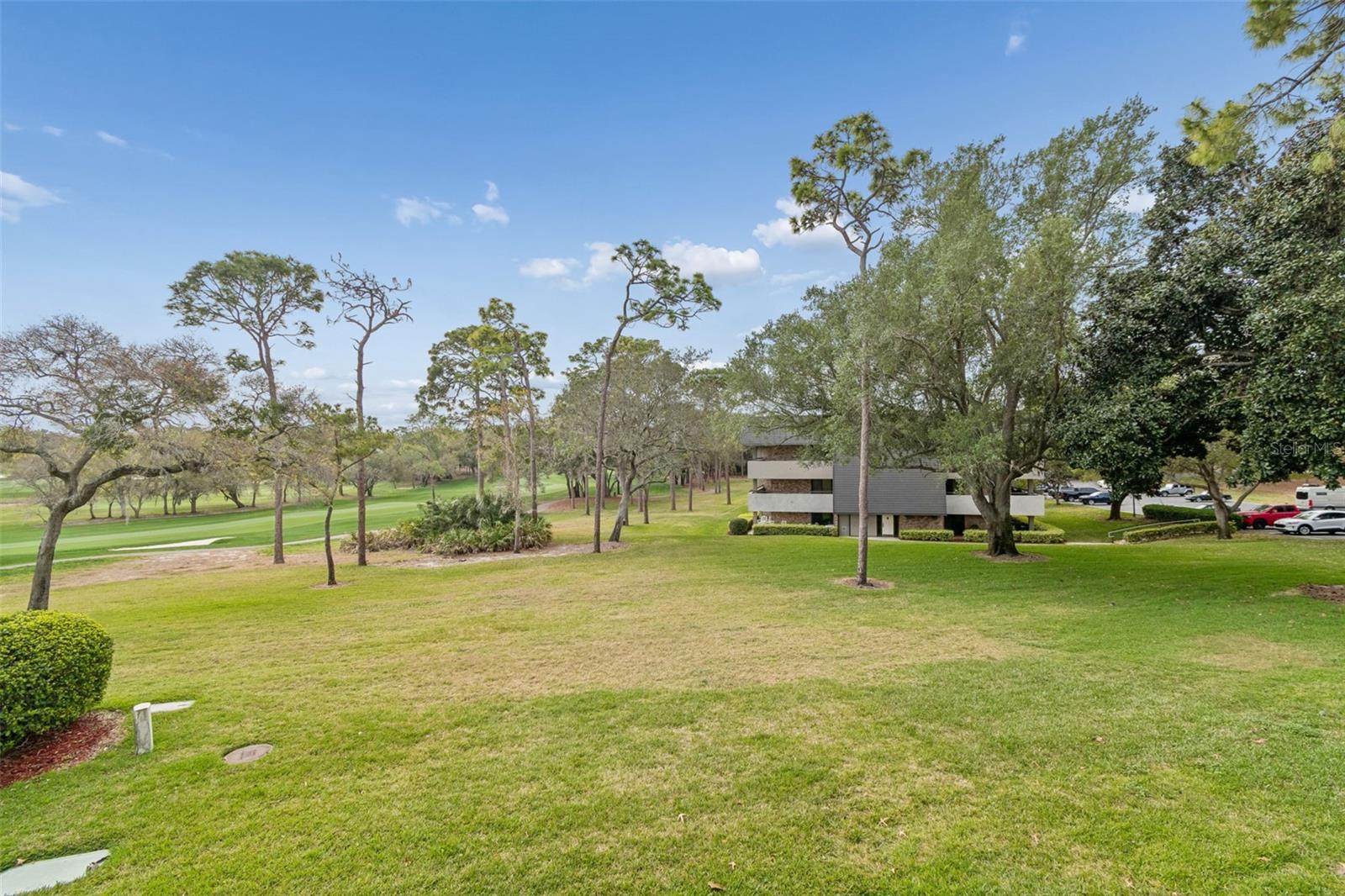 36750 US 19 N #22207 — photo 31