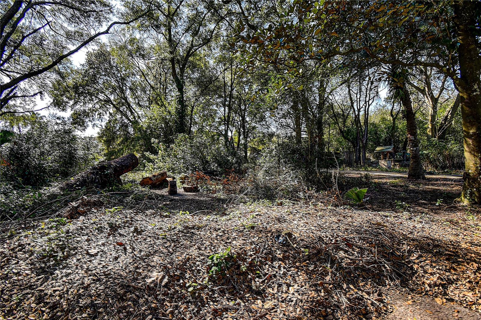 37644 DAUGHTERY RD — photo 15