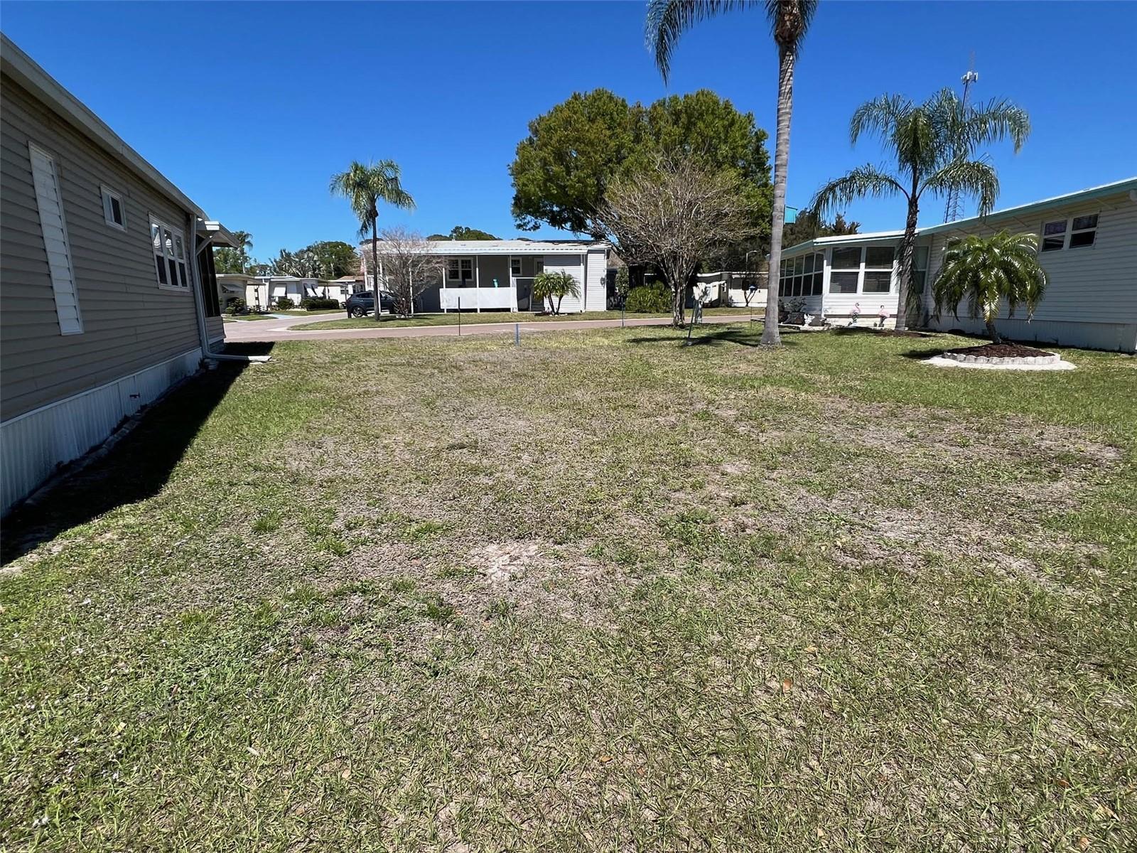 29250 US HIGHWAY 19 N #294 — photo 4