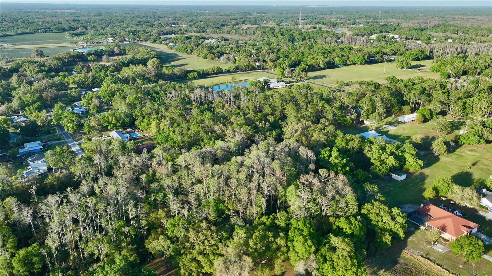 3709 GALLAGHER RD — photo 58