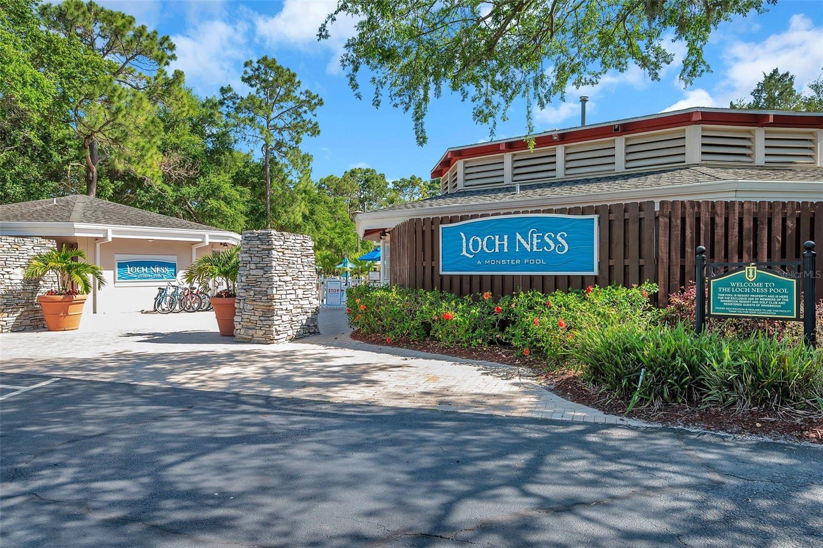 36750 US 19 N #2763 — photo 40