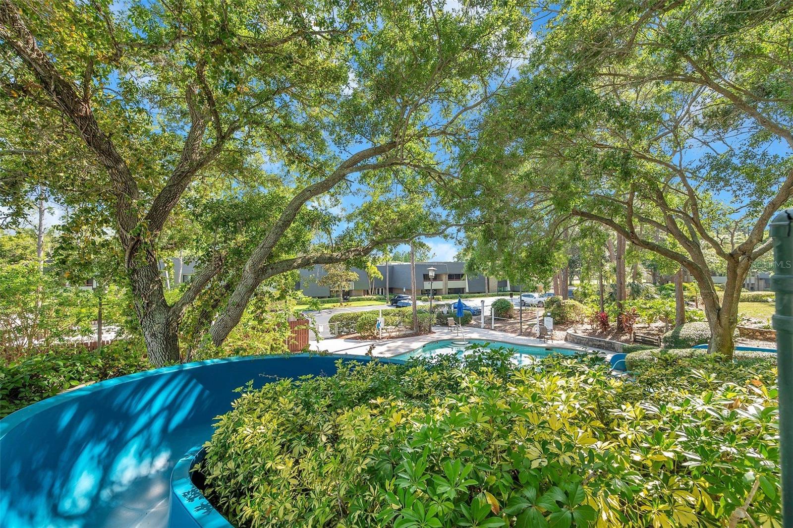 36750 US 19 N #2763 — photo 45