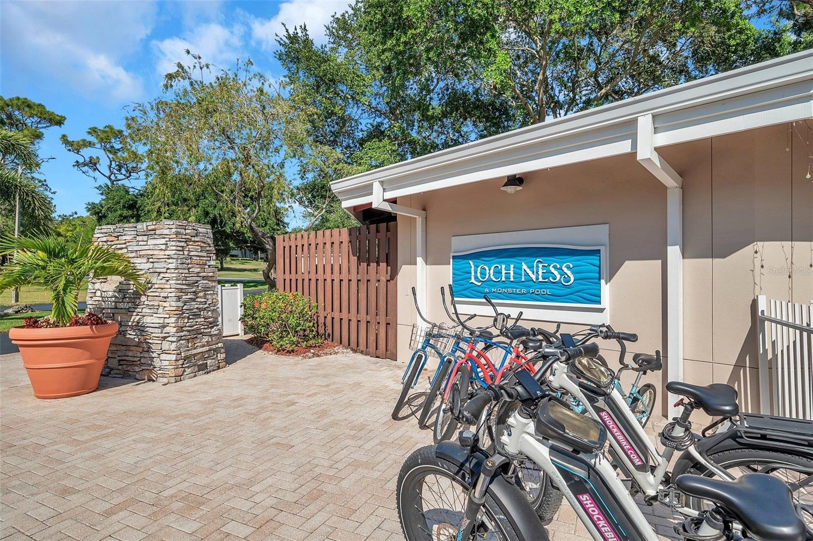 36750 US 19 N #2763 — photo 47